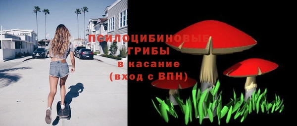 гашиш Снежногорск
