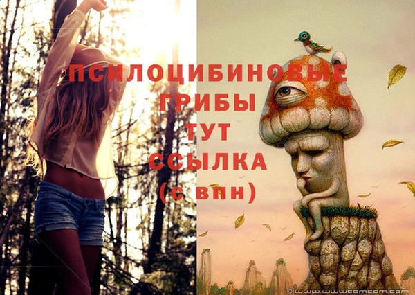 кокаин перу Белокуриха