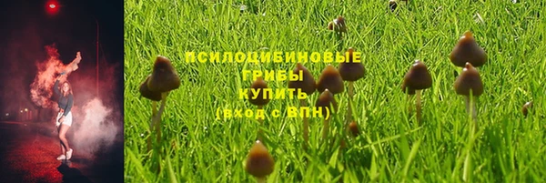 кокаин перу Белокуриха