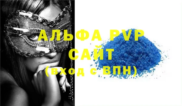индика Снежинск